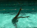 Sortie promenade avant natation synchronisée